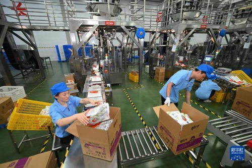 中國首次進(jìn)口肯尼亞野生鳀魚產(chǎn)品亮相中非經(jīng)貿(mào)博覽會