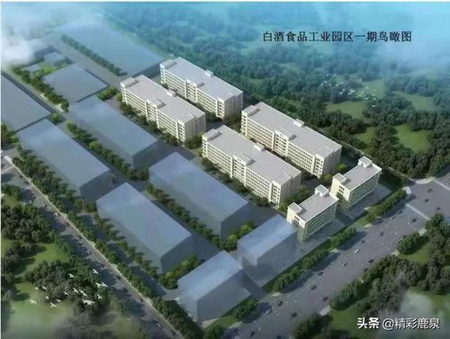 轉作風 優(yōu)服務, 助力鹿泉項目 加速度