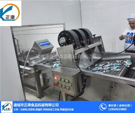 翻轉(zhuǎn)式風(fēng)干機 正康食品機械的全自動環(huán)保解決方案