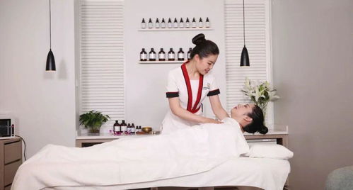 美容師國(guó)家職業(yè)等級(jí)認(rèn)定教材拍攝圓滿收官 技術(shù)標(biāo)準(zhǔn)與服務(wù)規(guī)范的視覺詮釋