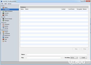 CubesQL數據庫管理系統 v5.7.2 官方版下載與簡介
